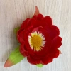 Peonies in the light cloth details Picture